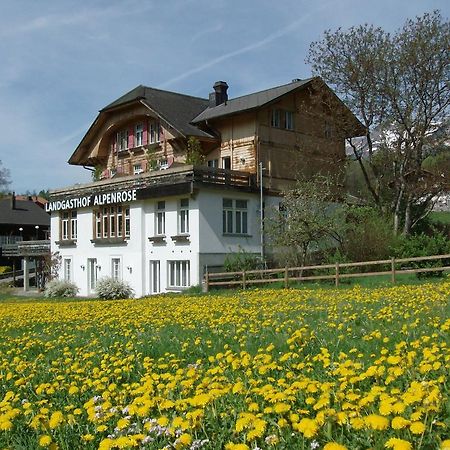 Hotel Alpenrose Beim Ballenberg Hofstetten bei Brienz Ngoại thất bức ảnh