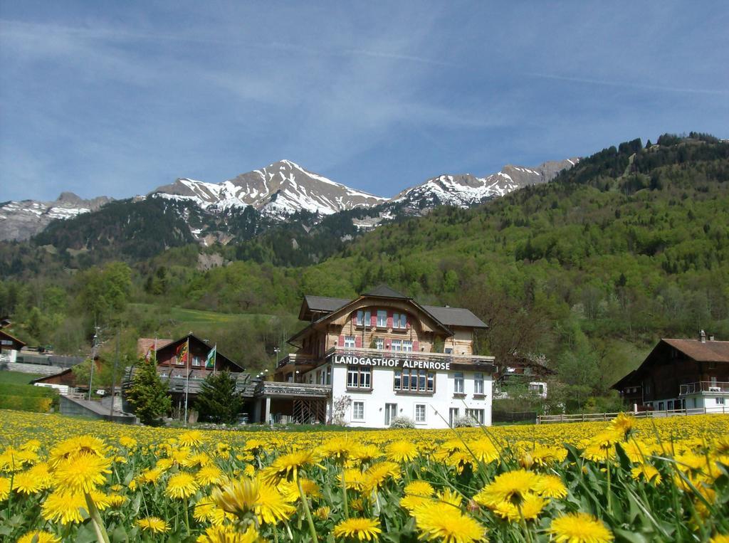 Hotel Alpenrose Beim Ballenberg Hofstetten bei Brienz Ngoại thất bức ảnh
